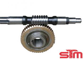 Worm Wheel & Shaft